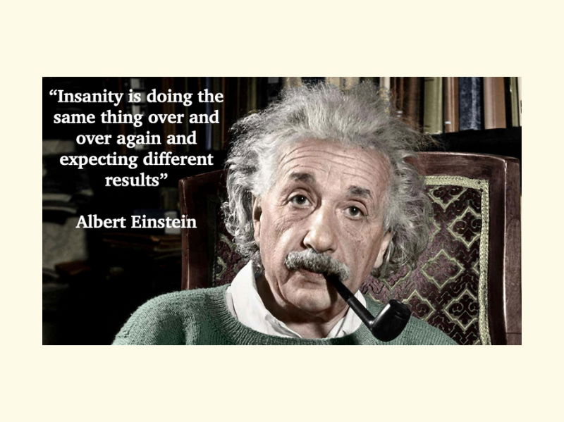 De klantgerichte organisatie - Buro Improof quote einstein