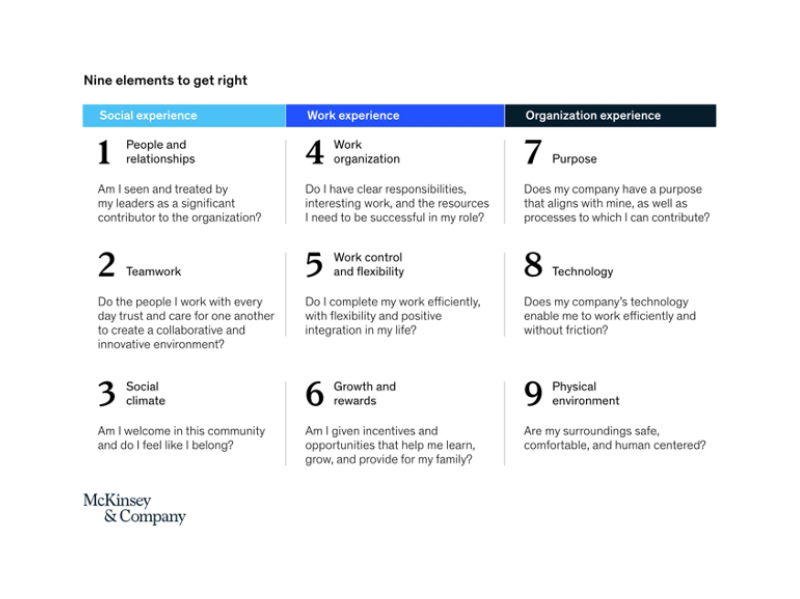 De kracht van Employee Experience - Buro Improof McKinsey - Ex factoren