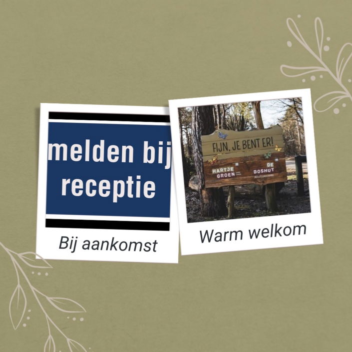 Een Betoverend Verblijf: Klantgerichtheid op Charme Camping Hartje Groen - Buro Improof Klantgerichte receptie