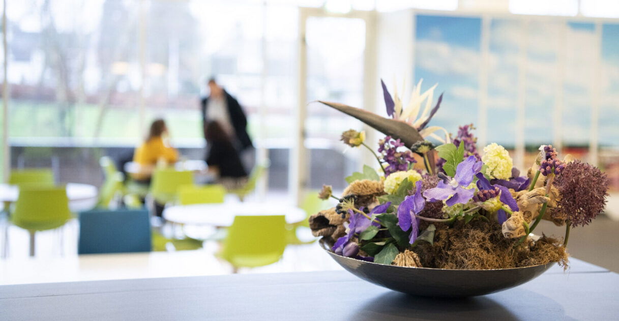Interviewvaardigheden voor CX-professionals - Buro Improof interviewvaardigheden
