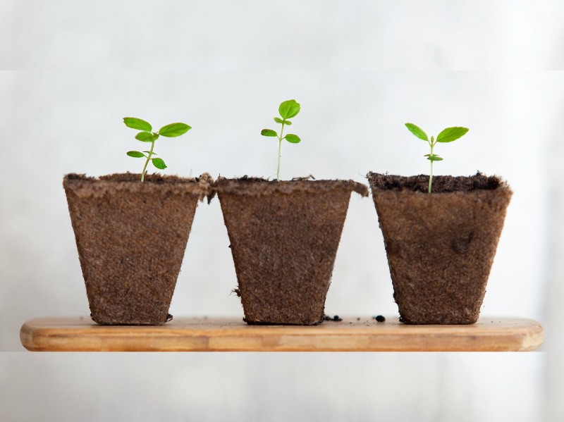 Nut  en noodzaak van een CX Maturity Scan