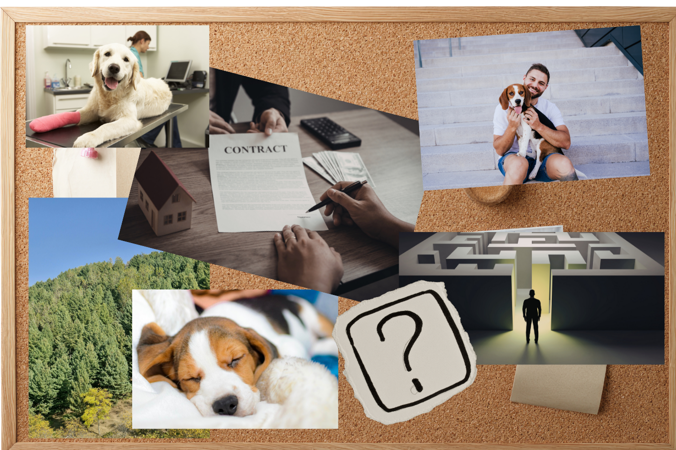 Creatieve onderzoeksmethoden in CX