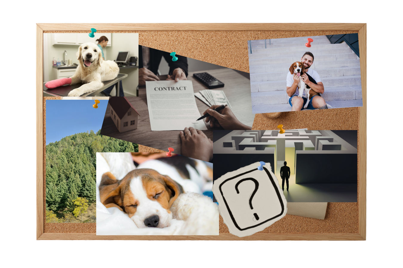 collage maken is een creatieve onderzoekstechniek